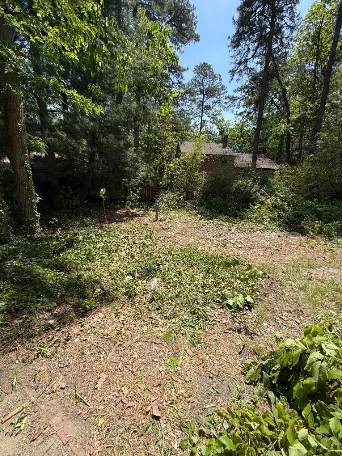 After — Exterior — Yard Clean Out in Medford, NJ — GSD Home Improvement South Jersey